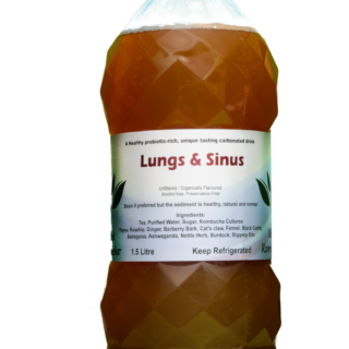 Kombucha - Thyme, Rosehip, Ginger, Barberry Bark, Cat's claw, Fennel, Black Cumin, Astragalus, Ashwagandha, Nettle Herb, Burdock, Slippery Elm