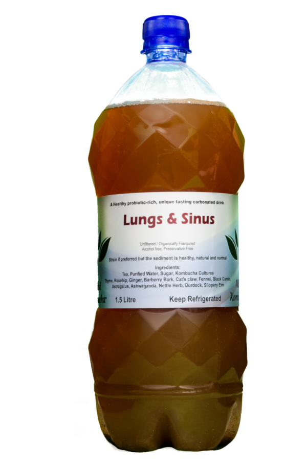 Kombucha - Thyme, Rosehip, Ginger, Barberry Bark, Cat's claw, Fennel, Black Cumin, Astragalus, Ashwagandha, Nettle Herb, Burdock, Slippery Elm